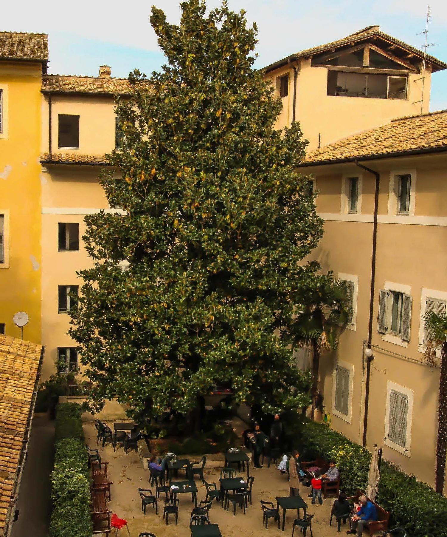 Hostel Orsa Maggiore For Women Only Rom